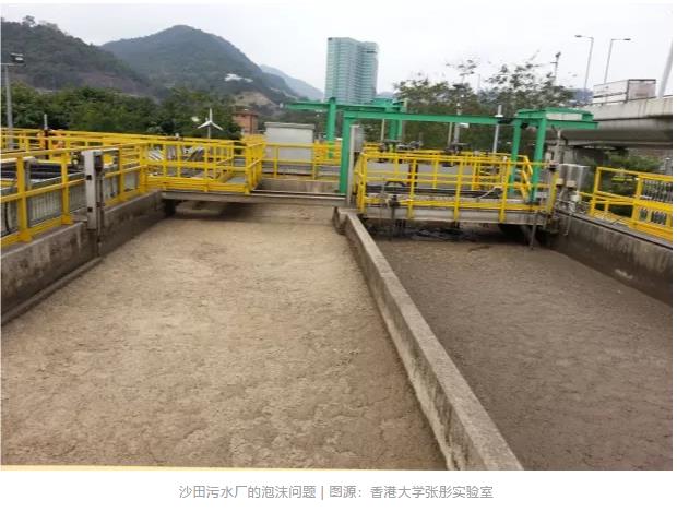 跟踪香港污水厂9年：万变的菌，不变的出水 新闻资讯 第3张