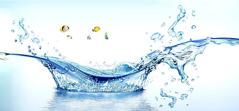 我国水环境治理行业市场调研及“十四五”发展趋势