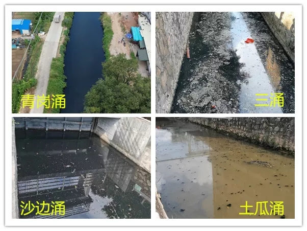 广东省中山市治水工作部署推进不力,内河涌污染问题突出 新闻资讯 第2张