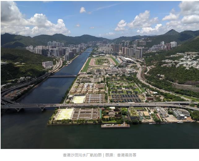 跟踪香港污水厂9年：万变的菌，不变的出水 新闻资讯 第1张