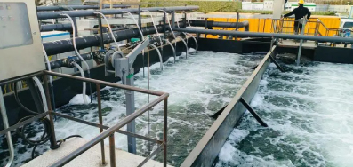 3月 这些水处理新规开始施行
