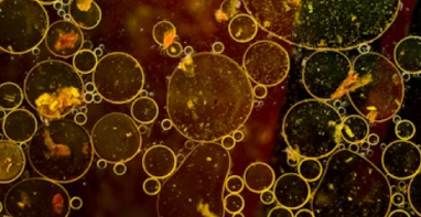 广东泵阀展|农村生活污水治理新规发布！适宜地区探索EOD模式