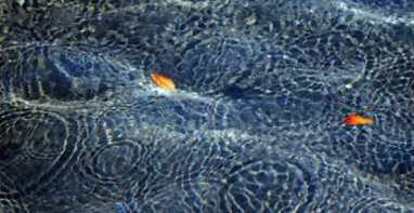 广东泵阀展|特许经营新政驱动下，超/特大城市水务升级路径